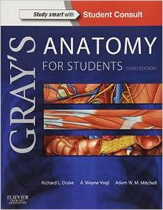 Gray's Anatomy for Students: With STUDENT CONSULT Online Access, 3 edition - 2875656239