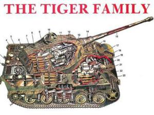 The Tiger Family of Tanks (Schiffer Military History) - 2875661541