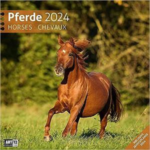 Pferde Kalender 2024 - 30x30 Kalendarz horses konie - 2875891901