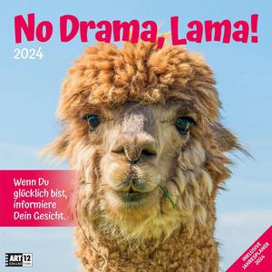 No Drama, Lama! calendar 2024 - 30x30 Kalendarz z lamami mieszny - 2876531712