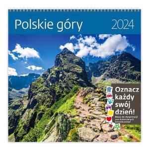 Kalendarz wieloplanszowy miesiczny z naklejkami SZTUKA RODZINNA 2024 polskie gry 1szt. /LP62-24/ - 2877432539