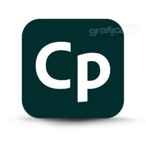 Adobe Captivate for Teams MULTI Win/Mac - 2849887813