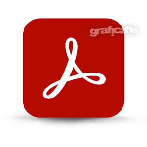 Adobe Acrobat DC Pro for Teams ENG Win/Mac  - 2870483157