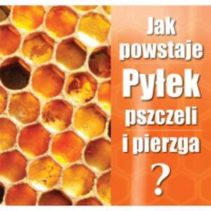 Ulotka "jak powstaje pyek pszczeli i pierzga"