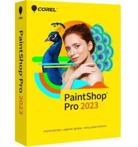 PaintShop Pro 2023 Mini box - 2877337512