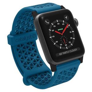 Catalyst Sport Band - Elastyczny pasek do Apple Watch 42/44 mm (Blueridge Sunset) - 2859482743