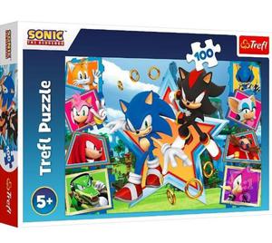 Puzzle 100 elementw Poznaj Sonica Sonic - 2877923901