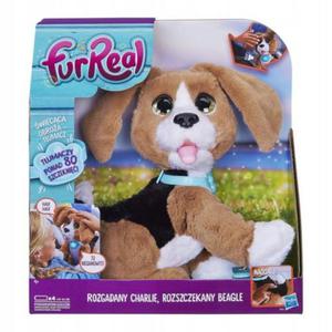 Hasbro Furreal Rozgadany Charlie Beagle B9070 - 2868956139