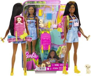 Mattel Barbie Kemping Barbie Brooklyn Lalka + Akcesoria HDF74 - 2868958190