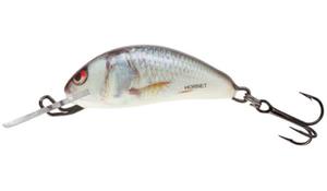 SALMO HORNET 2,5cm 1,5g REAL DACE SINKING - 2867803985