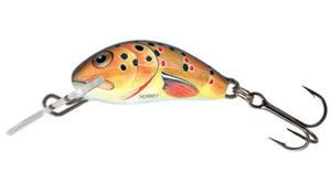 SALMO HORNET 3,5cm 2,2g Trout FLOATING - 2867803987