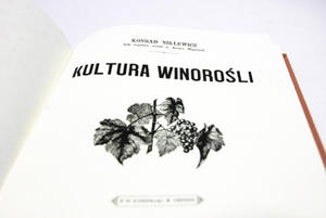 Kultura winoroli - 2832403284