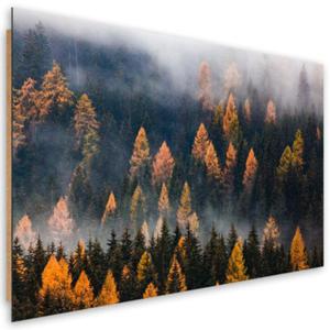 Obraz Deco Panel, Jesienny krajobraz drzew - 90x60 - 2873865368