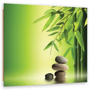 Obraz Deco Panel, Kamienie zen i bambus na zielonym tle - 30x30 - 2873867411
