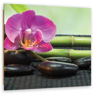 Obraz Deco Panel, Orchidea na czarnych kamieniach - 30x30 - 2873867572