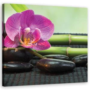 Obraz na ptnie, Orchidea na czarnych kamieniach - 40x40 - 2873867576
