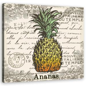 Obraz na ptnie, Ananas vintage - 30x30 - 2873868031