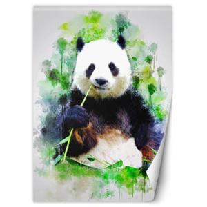 Fototapeta, dla dzieci Jedzca panda Cornel Vlad - 100x140 - 2873868312