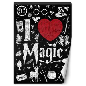 Fototapeta, I love magic Harry Potter Dr.Monekers - 100x140 - 2873868407