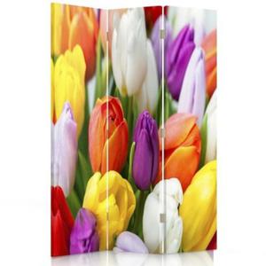 Parawan dwustronny obrotowy, Kolorowe tulipany - 110x170 - 2869649135