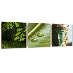 Zestaw obrazw Deco Panel, Zielone licie i Budda - 120x40 - 2869650286