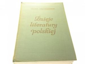 DZIEJE LITERATURY POLSKIEJ - Julian Krzyanowski - 2869132982