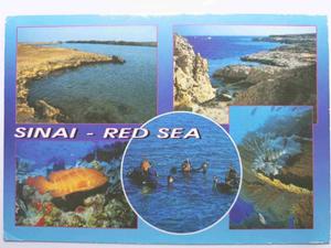 EGYPT SINAI RED SEA - 2876866593