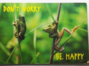 DON'T WORRY BE HAPPY FOT. HIGUCHI - 2869152346