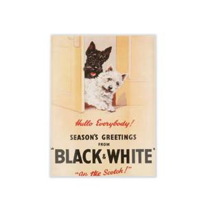 Reklama metalowa 30x40cm - Spin Black & Whiste Dogs Scotch Whisky - 2832805504