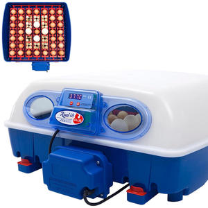 Inkubator wylgarka do 49 jaj automatyczna z ochron BIOMASTER 150 W - 2869623996