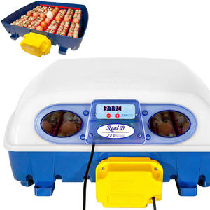 Inkubator klujnik do 49 jaj automatyczny z dozownikiem wody profesjonalny 150 W - 2869623998