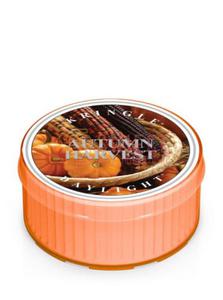 Kringle Candle Autumn Harvest Coloured DayLights - 2845530942