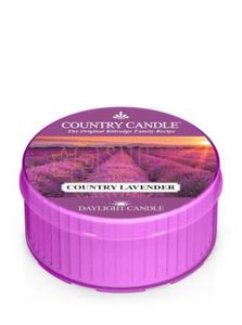 Country Candle COUNTRY LAVENDER DayLights