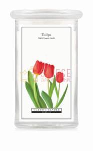 Classic Candle TULIPS 2 Wick Large Jar