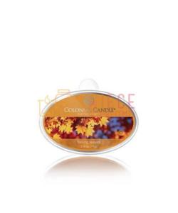 Colonial Candle Simmer Snaps FALLING LEAVES - 2854980402