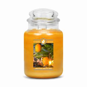 Goose Creek Candle ORANGE GROVE TREE wieca Dua - 2861323049