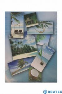 Album cc 10x15/100 assort PALMY - 2878409405