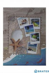 Album cc 10x15/100 assort PLAZING - 2878409406