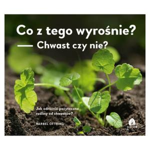 Co z tego wyronie? - Barbel Oftring - 2862443962