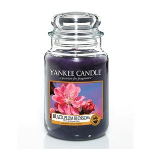 Dua wieca Black Plum Blossoms Yankee Candle - 2836256319