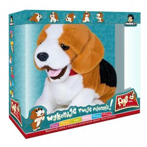 MADEJ FIGO PIES REAGUJCY NA KOMENDY BEAGLE 3+ - 2878391918