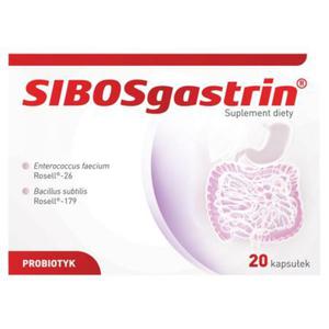 Sibosgastrin Suplement diety 11 g (20 sztuk) - 2876875871