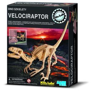 Wykopaliska Velociraptor - 4M - 1130194249