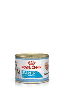 ROYAL CANIN DOG STARTER MOUSSE MOTHER&BABYDOG 195g - 2823050499