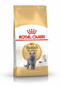 ROYAL CANIN British Shorthair Adult 4kg - 2823050524