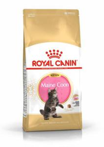 ROYAL CANIN BREED Maine Coon Kitten 4kg - 2823050540