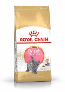 ROYAL CANIN British Shorthair Kitten 2kg - 2823051989