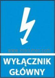 * Naklejka- WYACZNIK GWNY 74x105 niebieska - 2847128441