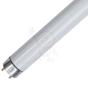 UV-A G13 L - 2861457943