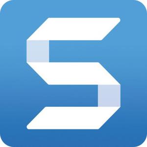 SnagIt 2018 - 2833158812